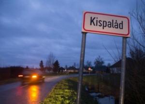 На выборы в Венгрию массово завозили закарпатцев