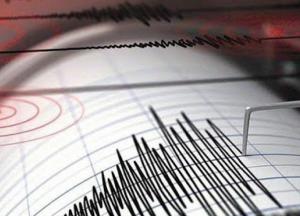 У берегов Новой Зеландии произошло мощное землетрясение