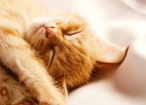 Прогноз погоды на 19 марта: столбики термометров поднимутся до +17