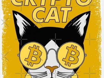 Crypto Cat
