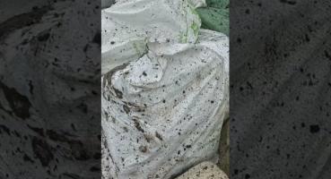 Виїзд бронемашини на позиції: кадри з Донецького напрямку