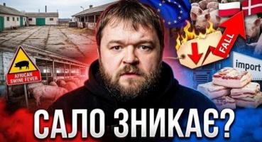 Українців годують імпортним салом: причина здешевлення продукту та стратегічні провали галузі