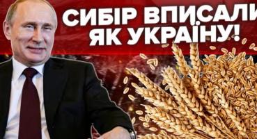 Ізраїль потрапив у міжнародний скандал через закупівлю краденого українського зерна