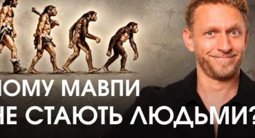 Чому мавпи не стають людьми: біолог розвінчує поширені міфи про еволюцію
