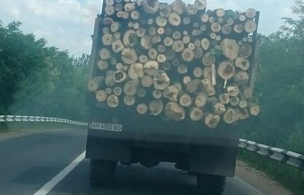 Превращение Донбасса в пустыню продолжается