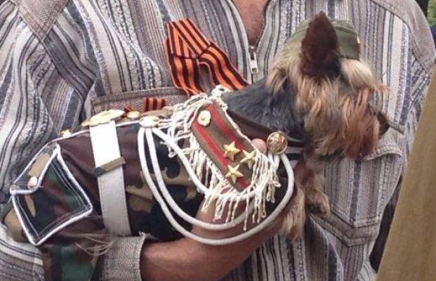 Образцово-принудительные майские праздники в Луганске