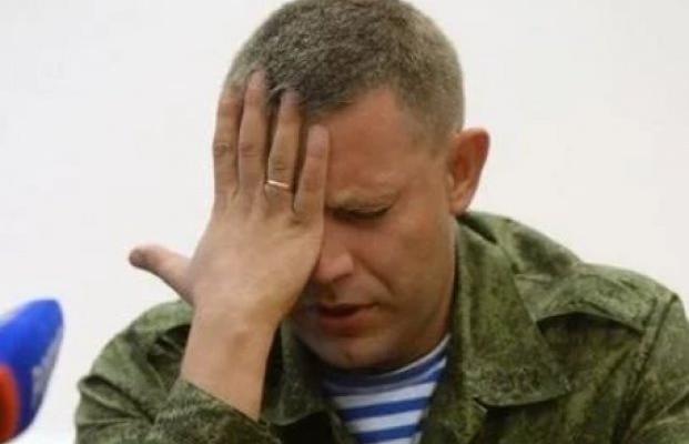 Герои «ДНР» оказались ворами
