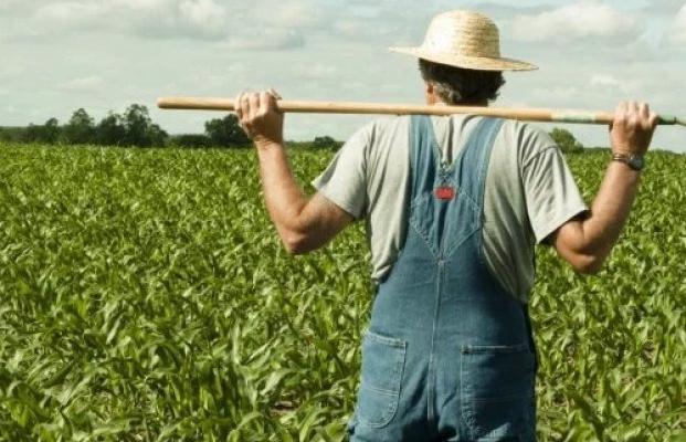 Бойовики «ДНР» змушують фермерів платити побори
