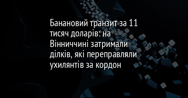 Банановий транзит за 11 тисяч доларів: на Вінниччині затримали ділків, які переправляли ухилянтів за кордон