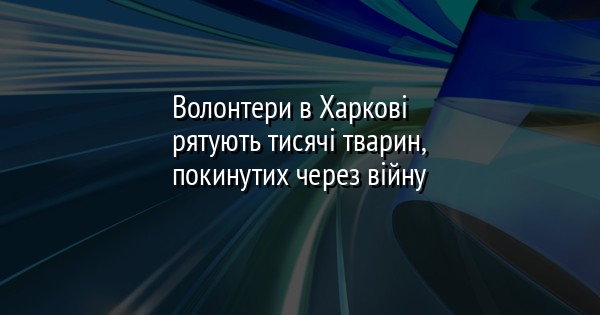 Волонтери в Харкові рятують тисячі тварин, покинутих через війну
