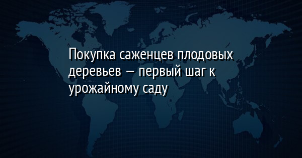 Покупка саженцев плодовых деревьев — первый шаг к урожайному саду