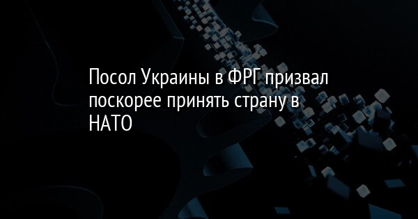 Посол Украины в ФРГ призвал поскорее принять страну в НАТО